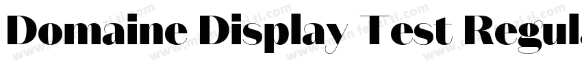 Domaine Display Test Regular字体转换